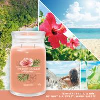 Yankee Candle Tropical Breeze Large Jar Extra Image 2 Preview